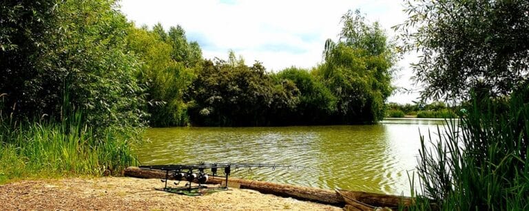 Carp Fishing Lakes In Dorset The Best Day Ticket Venues Carp Smart