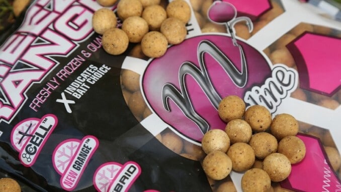 best boilies 2020